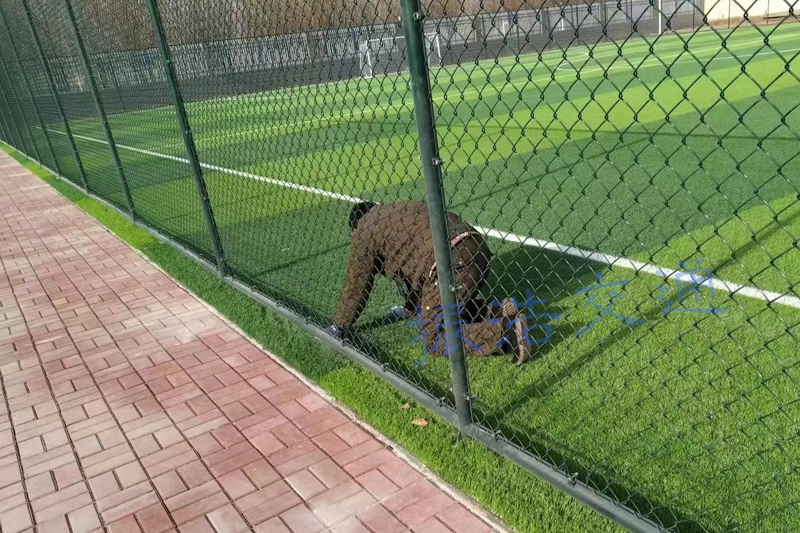Stadyum çiti